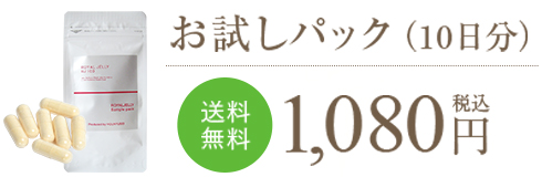 お試しパック（10日分）